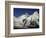 Mount Everest-AdventureArt-Framed Photographic Print