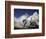 Mount Everest-AdventureArt-Framed Photographic Print