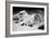 Mount Foraker, Denali National Park-Carol Highsmith-Framed Photo