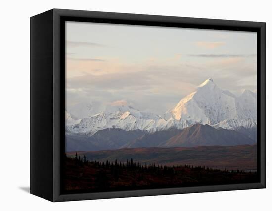 Mount Foraker in the Fall, Denali National Park and Preserve, Alaska, USA-James Hager-Framed Premier Image Canvas