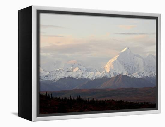 Mount Foraker in the Fall, Denali National Park and Preserve, Alaska, USA-James Hager-Framed Premier Image Canvas