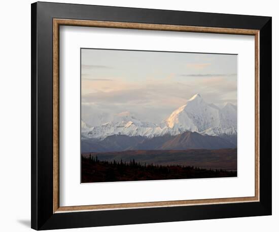 Mount Foraker in the Fall, Denali National Park and Preserve, Alaska, USA-James Hager-Framed Photographic Print