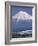 Mount Fuji and Bullet Train (Shinkansen), Honshu, Japan-Steve Vidler-Framed Photographic Print