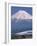 Mount Fuji and Bullet Train (Shinkansen), Honshu, Japan-Steve Vidler-Framed Photographic Print