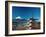 Mount Fuji and Pagoda, Hakone, Honshu, Japan-Steve Vidler-Framed Photographic Print