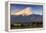 Mount Fuji at Sunrise as Seen from Lake Kawaguchi, Yamanashi Prefecture, Japan-Stefano Politi Markovina-Framed Premier Image Canvas