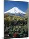 Photographic Print