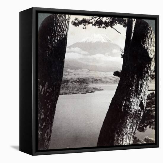 Mount Fuji, Seen from the Northwest, Through Pines at Lake Motosu, Japan, 1904-Underwood & Underwood-Framed Premier Image Canvas