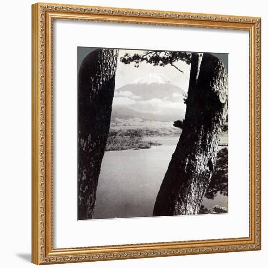 Mount Fuji, Seen from the Northwest, Through Pines at Lake Motosu, Japan, 1904-Underwood & Underwood-Framed Photographic Print