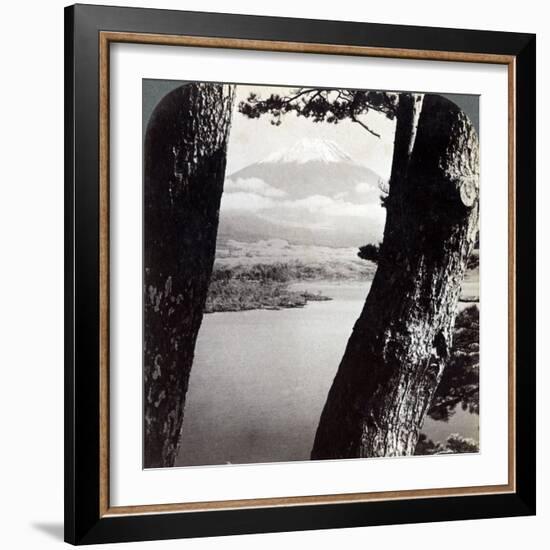 Mount Fuji, Seen from the Northwest, Through Pines at Lake Motosu, Japan, 1904-Underwood & Underwood-Framed Photographic Print