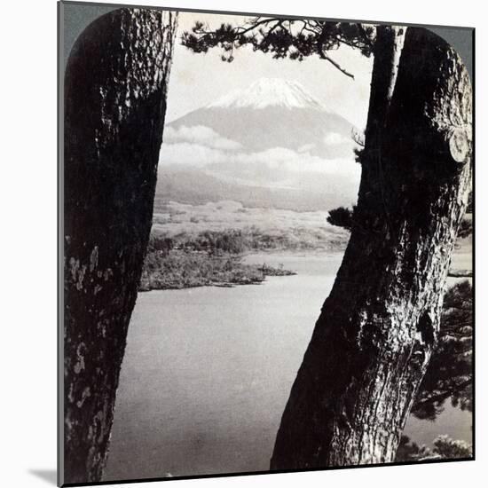 Mount Fuji, Seen from the Northwest, Through Pines at Lake Motosu, Japan, 1904-Underwood & Underwood-Mounted Photographic Print