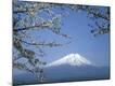 Premium Photographic Print