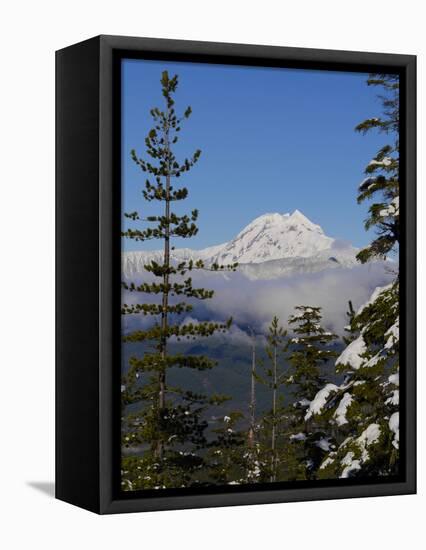 Mount Garibaldi from The Chief overlook at the summit of the Sea to Sky Gondola-Kristin Piljay-Framed Premier Image Canvas