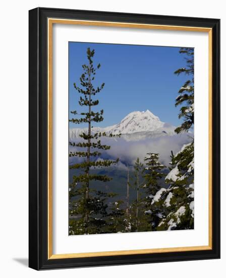 Mount Garibaldi from The Chief overlook at the summit of the Sea to Sky Gondola-Kristin Piljay-Framed Photographic Print