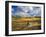 Mount Haggin Nwr Near Anaconda, Montana, USA-Chuck Haney-Framed Photographic Print