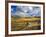 Mount Haggin Nwr Near Anaconda, Montana, USA-Chuck Haney-Framed Photographic Print