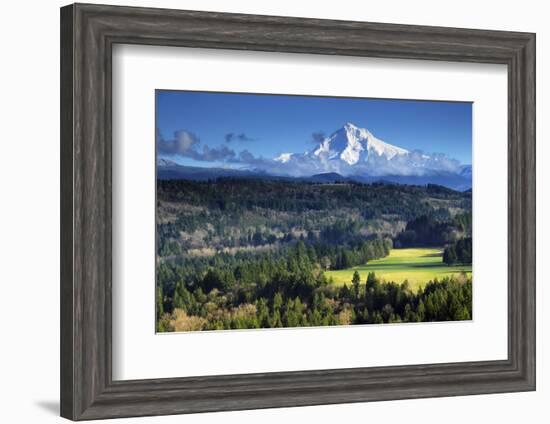 Mount Hood, Jonsrud Viewpoint, Sandy, Oregon, USA-Michel Hersen-Framed Photographic Print