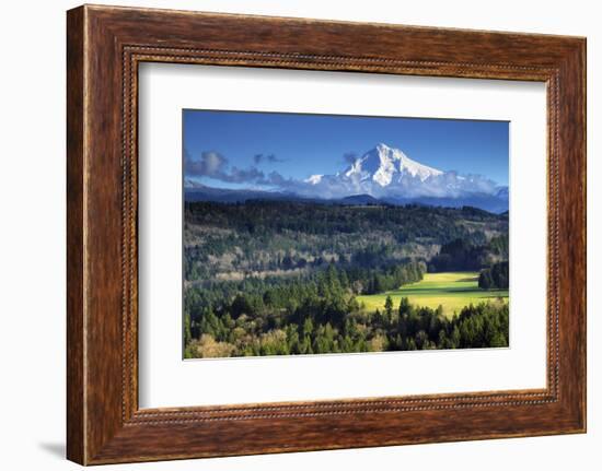 Mount Hood, Jonsrud Viewpoint, Sandy, Oregon, USA-Michel Hersen-Framed Photographic Print