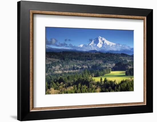 Mount Hood, Jonsrud Viewpoint, Sandy, Oregon, USA-Michel Hersen-Framed Photographic Print