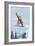 Mount Hood, Oregon, Snowboarder Jumping-Lantern Press-Framed Premium Giclee Print