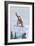 Mount Hood, Oregon, Snowboarder Jumping-Lantern Press-Framed Premium Giclee Print