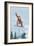 Mount Hood, Oregon, Snowboarder Jumping-Lantern Press-Framed Premium Giclee Print