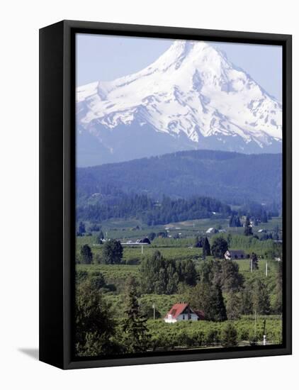 Mount Hood over Houses Scattered amongst Orchards and Firs, Pine Grove, Oregon-Don Ryan-Framed Premier Image Canvas