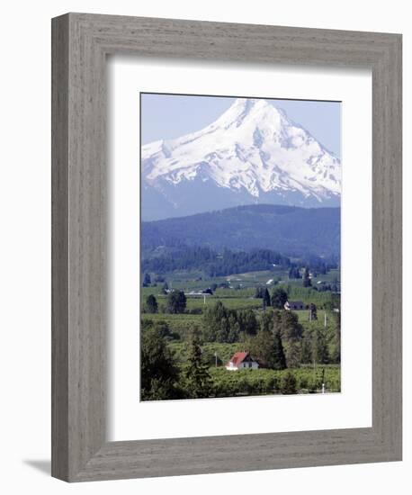 Mount Hood over Houses Scattered amongst Orchards and Firs, Pine Grove, Oregon-Don Ryan-Framed Photographic Print