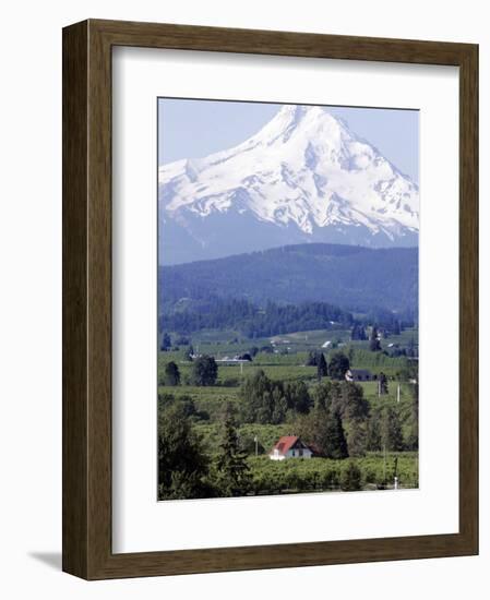 Mount Hood over Houses Scattered amongst Orchards and Firs, Pine Grove, Oregon-Don Ryan-Framed Photographic Print