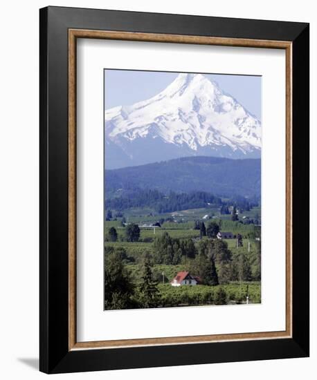 Mount Hood over Houses Scattered amongst Orchards and Firs, Pine Grove, Oregon-Don Ryan-Framed Photographic Print