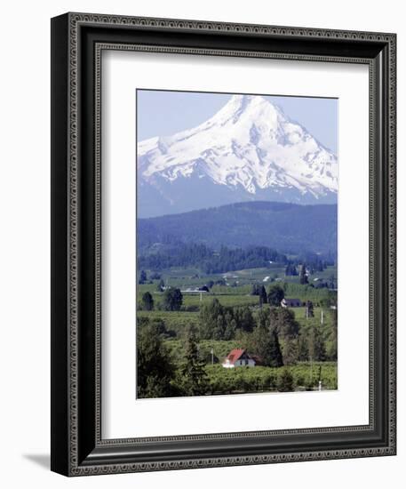 Mount Hood over Houses Scattered amongst Orchards and Firs, Pine Grove, Oregon-Don Ryan-Framed Photographic Print