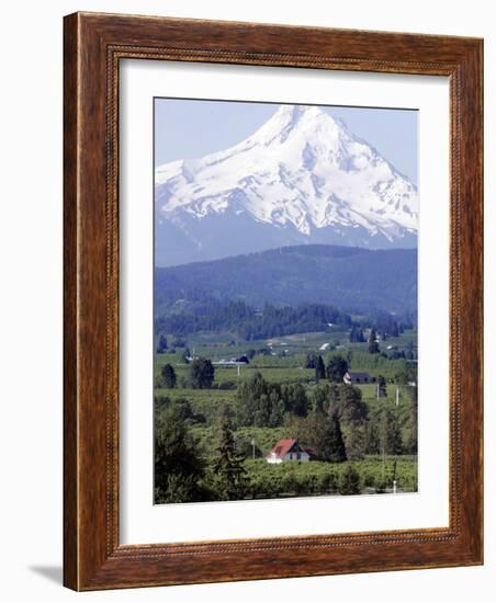 Mount Hood over Houses Scattered amongst Orchards and Firs, Pine Grove, Oregon-Don Ryan-Framed Photographic Print