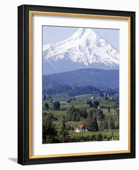 Mount Hood over Houses Scattered amongst Orchards and Firs, Pine Grove, Oregon-Don Ryan-Framed Photographic Print