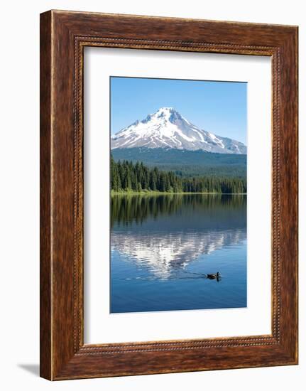 Mount Hood, part of the Cascade Range, perfectly reflected in the still waters of Trillium Lake, Or-Martin Child-Framed Photographic Print