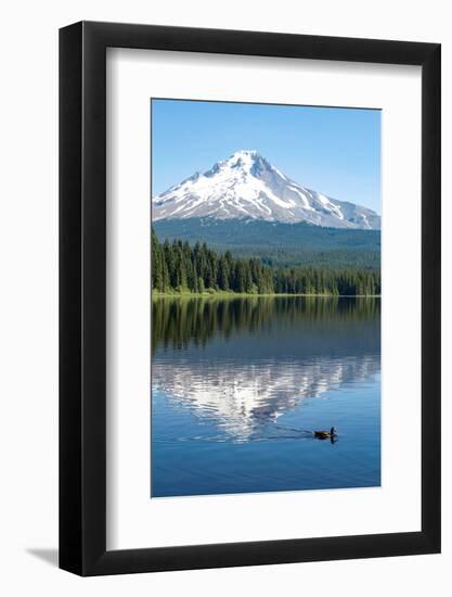 Mount Hood, part of the Cascade Range, perfectly reflected in the still waters of Trillium Lake, Or-Martin Child-Framed Photographic Print