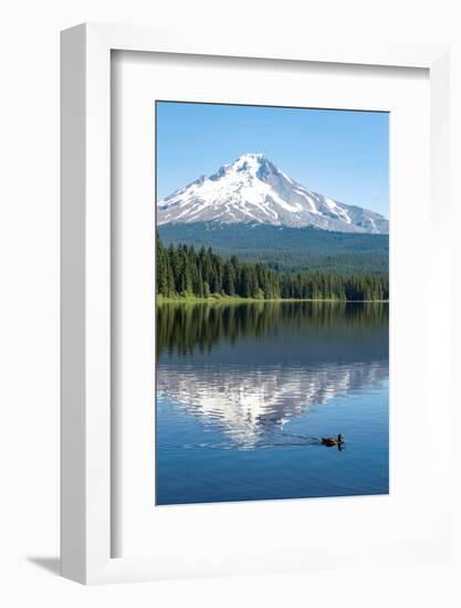 Mount Hood, part of the Cascade Range, perfectly reflected in the still waters of Trillium Lake, Or-Martin Child-Framed Photographic Print