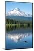 Mount Hood, part of the Cascade Range, perfectly reflected in the still waters of Trillium Lake, Or-Martin Child-Mounted Photographic Print