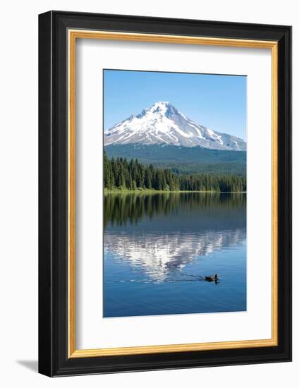 Mount Hood, part of the Cascade Range, perfectly reflected in the still waters of Trillium Lake, Or-Martin Child-Framed Photographic Print