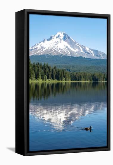 Mount Hood, part of the Cascade Range, perfectly reflected in the still waters of Trillium Lake, Or-Martin Child-Framed Premier Image Canvas