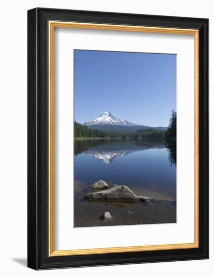 Mount Hood, part of the Cascade Range, perfectly reflected in the still waters of Trillium Lake, Or-Martin Child-Framed Photographic Print