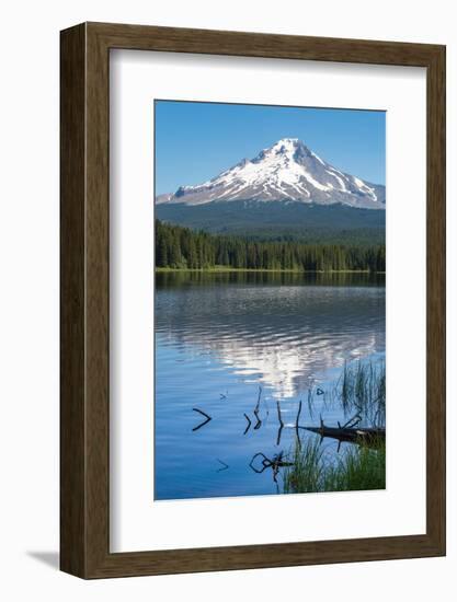 Mount Hood, part of the Cascade Range, perfectly reflected in the still waters of Trillium Lake, Or-Martin Child-Framed Photographic Print