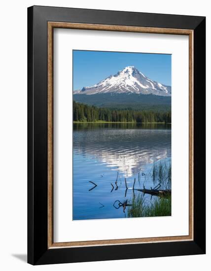 Mount Hood, part of the Cascade Range, perfectly reflected in the still waters of Trillium Lake, Or-Martin Child-Framed Photographic Print