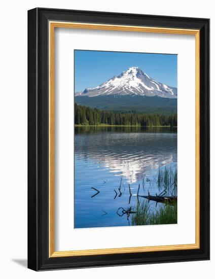 Mount Hood, part of the Cascade Range, perfectly reflected in the still waters of Trillium Lake, Or-Martin Child-Framed Photographic Print