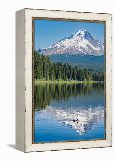 Mount Hood, part of the Cascade Range, perfectly reflected in the still waters of Trillium Lake, Or-Martin Child-Framed Premier Image Canvas