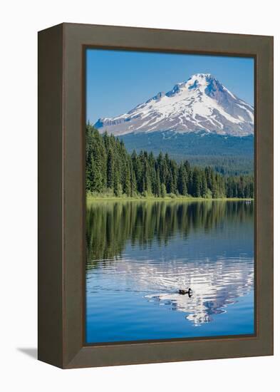 Mount Hood, part of the Cascade Range, perfectly reflected in the still waters of Trillium Lake, Or-Martin Child-Framed Premier Image Canvas