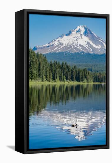 Mount Hood, part of the Cascade Range, perfectly reflected in the still waters of Trillium Lake, Or-Martin Child-Framed Premier Image Canvas