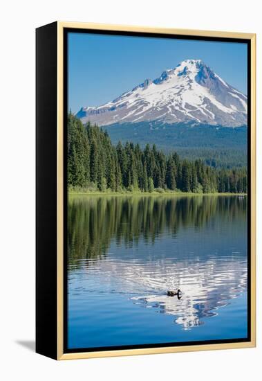 Mount Hood, part of the Cascade Range, perfectly reflected in the still waters of Trillium Lake, Or-Martin Child-Framed Premier Image Canvas