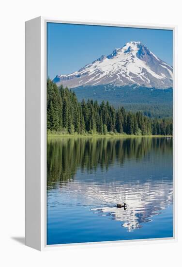 Mount Hood, part of the Cascade Range, perfectly reflected in the still waters of Trillium Lake, Or-Martin Child-Framed Premier Image Canvas
