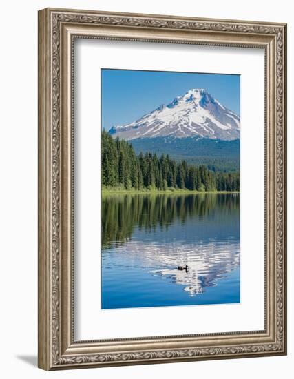 Mount Hood, part of the Cascade Range, perfectly reflected in the still waters of Trillium Lake, Or-Martin Child-Framed Photographic Print