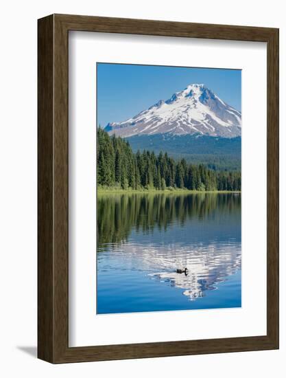 Mount Hood, part of the Cascade Range, perfectly reflected in the still waters of Trillium Lake, Or-Martin Child-Framed Photographic Print